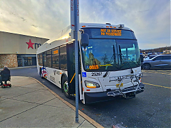55040424394_acd7782716_b.jpg