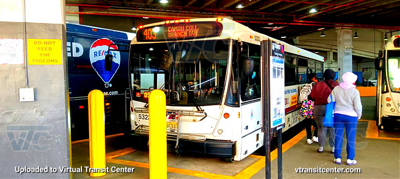 NJ Transit 5323 on the 403
Keywords: Jerzey boy Productions