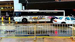 55434630651_580a5732a8_b_28129.jpg