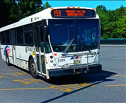 flickr_53918156557.jpg