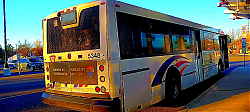 flickr_54135586092.jpg