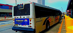flickr_54400186706.jpg