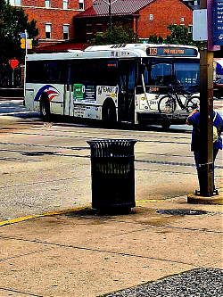 flickr_54702947834.jpg