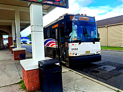 20260805_1517545B15D.jpg