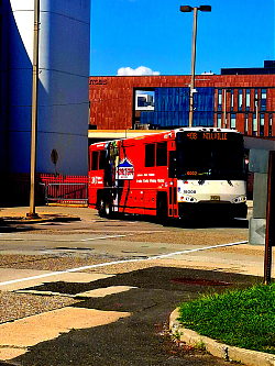 20260819_103635.jpg