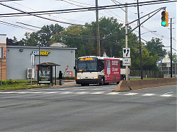 20260922_1118375B15D.jpg