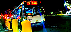 flickr_54187427572.jpg