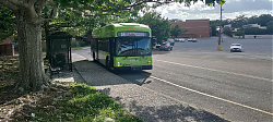 IMG_20220423_174530.jpg